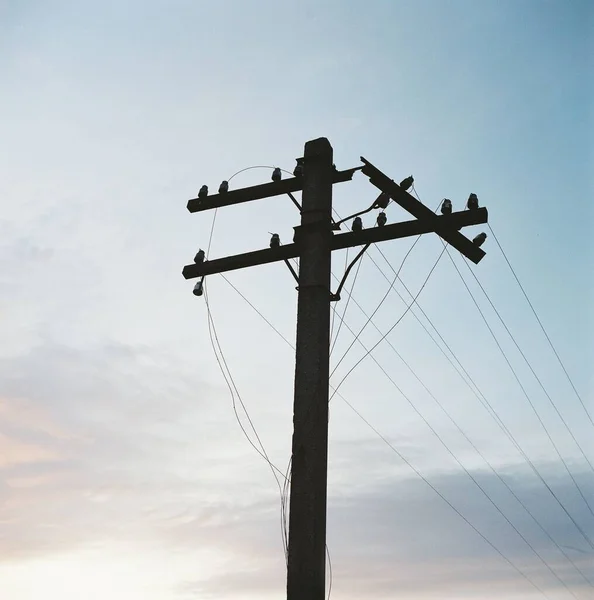 ワイヤ付き電気ポストのローアングルショット — ストック写真