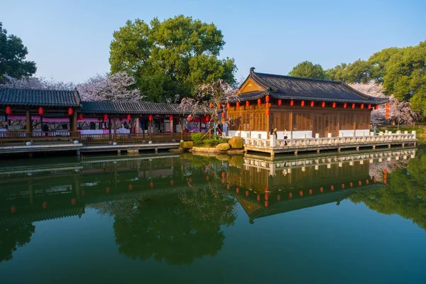 East Lake Cherry Blossom Park Také Volal Wuhan Moshan Cherry — Stock fotografie