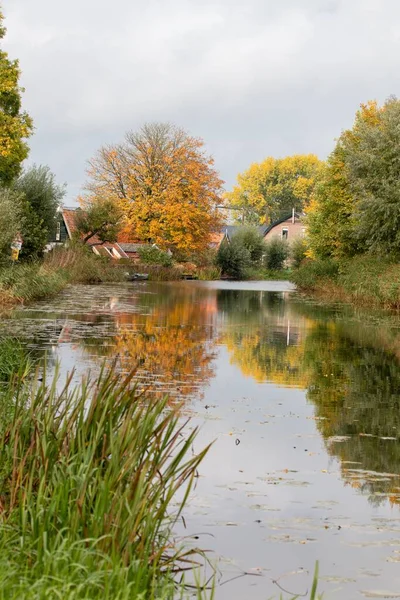 秋には木々に囲まれた川の垂直ショット — ストック写真