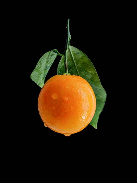 Vertical Shot Red Orange Isolated Background — Stock Photo, Image
