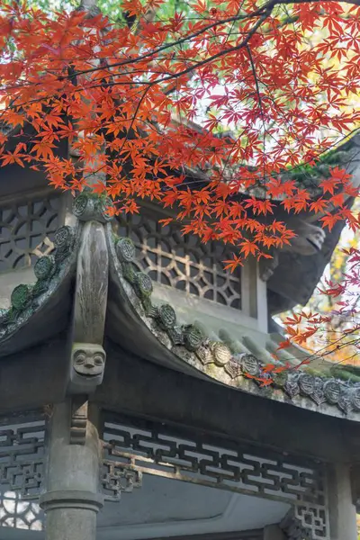 杭州の中国建築を覆う木の葉の垂直ショット — ストック写真