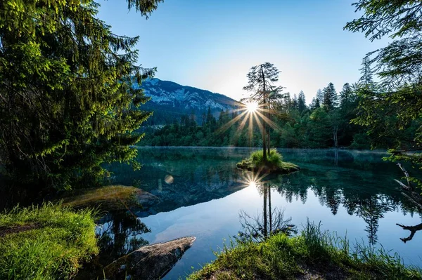 Солнце Светит Сквозь Деревья Захваченные Весной Озера — стоковое фото