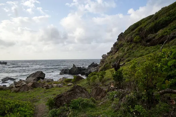 Piękny Strzał Błękitnej Wody Morskiej Pobliżu Skalistego Brzegu Morza Zielonymi — Zdjęcie stockowe