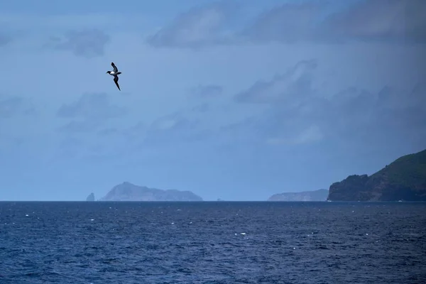 Booby Marrón Volando Sobre Mar Contra Cielo Azul Con Nubes —  Fotos de Stock