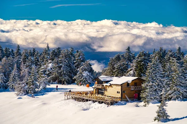 Une Belle Vue Sur Station Ski Kopaonik Serbie Dessus Des — Photo