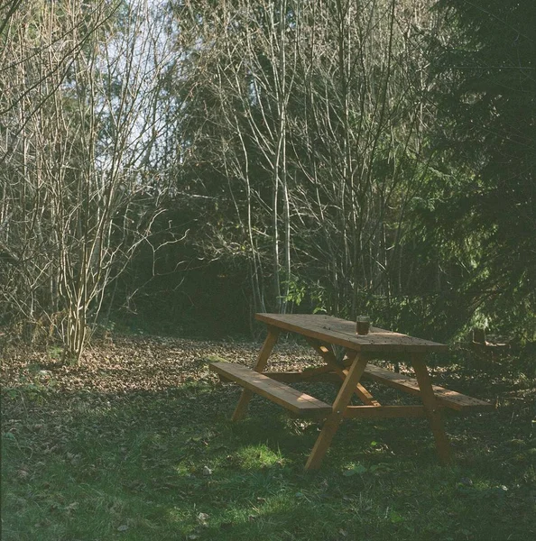 Ένα Ξύλινο Παγκάκι Και Τραπέζι Στη Μέση Του Δάσους — Φωτογραφία Αρχείου