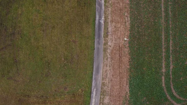 チェコ共和国の常緑農業地帯の真ん中の道路の空中トップビュー — ストック写真