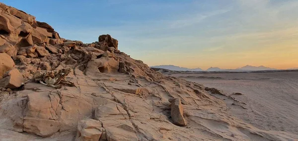 사막의 절벽에 스켈레톤 — 스톡 사진