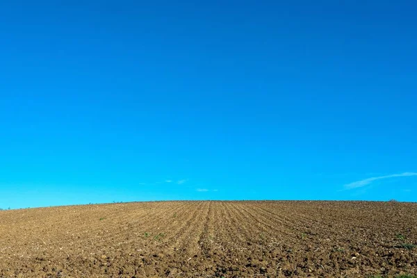 青い空の下の空の耕地 — ストック写真