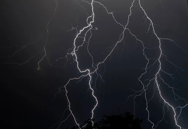 Fork Lightning Striking — Stock Photo, Image