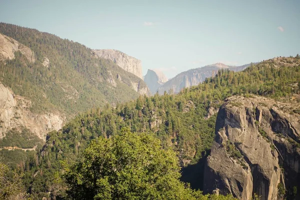 Piękny Krajobraz Sosen Skał Yosemite Narodowym Parku Słonecznym Dniu — Zdjęcie stockowe