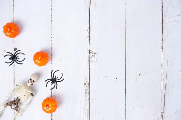 Halloween Themed Background Skeletons Spiders Resin Pumpkins — Stock Photo, Image