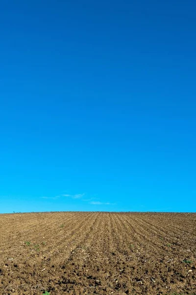 Vertical Shot Empty Plowed Field Blue Sky — Stock Photo, Image