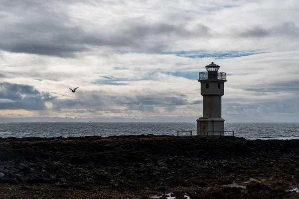 Una Silueta Pájaro Volando Sobre Mar Cerca Del Faro Contra — Foto de Stock
