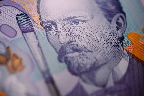 Makroaufnahme Der Rumänischen Währung Ron Textur — Stockfoto
