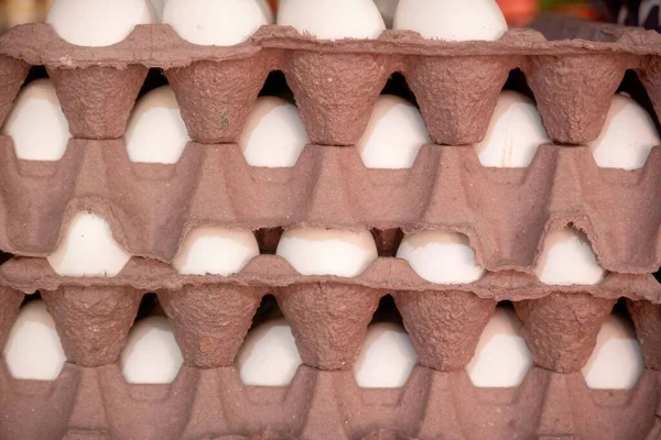 Een Close Van Cellen Voor Eieren — Stockfoto