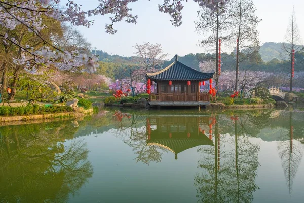 東湖桜公園は武漢茂山桜公園とも呼ばれ 湖北省武漢市武昌区の東湖エリアにある公園です — ストック写真