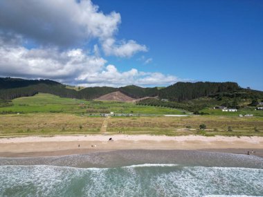 Deniz dalgalarının yeşillik plajını yıktığı bir hava manzarası.