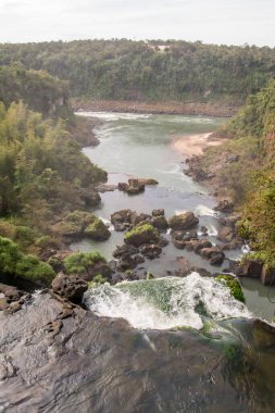 Ormanlı bir nehrin dikey görüntüsü.