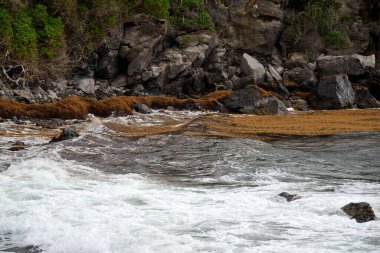 Yeşil kayalıkların olduğu kayalık bir sahil kenarında güzel bir deniz suyu görüntüsü.