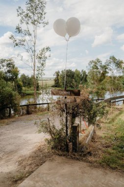 Gölün kenarında güzel balonların dikey görüntüsü.