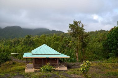 Yoğun ormanları olan güzel doğanın küçük bir sığınağı.