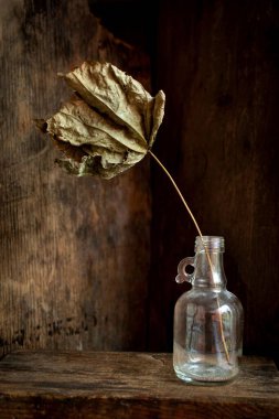 Cam bir şişedeki kuru yaprağın dikey görüntüsü ahşap bir arka plan, çizim için mükemmel.