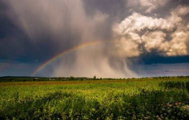 Bulutlu gökyüzü ve gökkuşağı olan güzel bir tarla manzarası