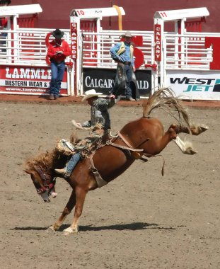 CALGARY CANADA HAZİRAN 2004 - Ata binen kovboy at, Calgary Stampede, Alberta, Kanada