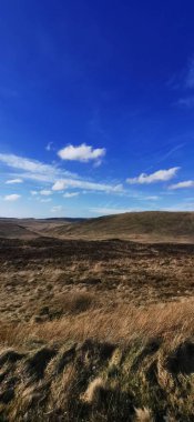 Güneşli bir sabahta kuru düzlüklerden oluşan güzel bir manzara