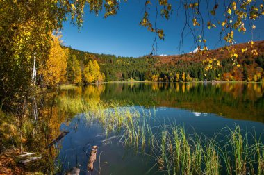 Etrafında renkli ağaçlar olan güzel bir göl manzarası.
