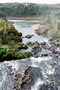 Ormanlı bir nehrin dikey görüntüsü.