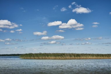 Mavi gökyüzü ve güneşli bir günde arka planda ufuk ile sakin gölde büyüyen kuyruklar.