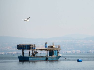 Arka planda büyük bir tekneyle denizin üzerinde uçan bir martı.