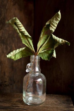 Cam bir şişedeki kuru yaprağın dikey görüntüsü ahşap bir arka plan, çizim için mükemmel.