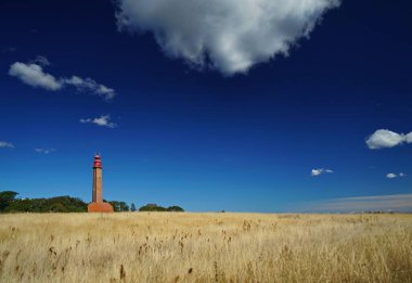 Almanya 'da arka planda deniz feneri olan bir buğday tarlası görüntüsü