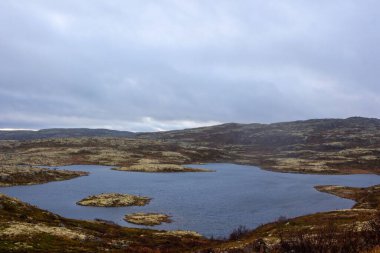 Güzel bir kanyon tepesi manzarası ve sisli bulutlu gökyüzünün altındaki göl kenarında yabani otlar.