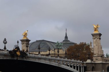 Paris 'teki ünlü Grand Palais Gri bulutlu gökyüzüne karşı