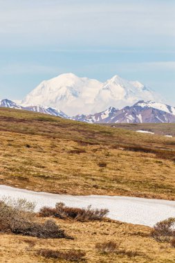 Arkasında karla kaplı kayalık bir tepe olan kuru bir alan.