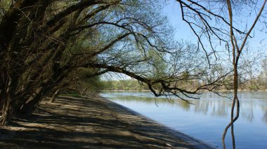 Hırvatistan 'ın Osijek kenti yakınlarındaki Drava Nehri