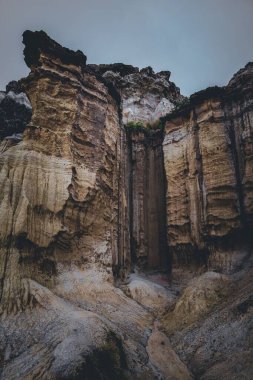 Dağılmış bitkilerle dik kaya oluşumlarının dikey çekimi