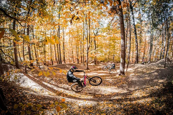 Holeshotpunx Iki Adamın Ağaçlarla Dolu Bir Parkta Bisiklet Sürerken Çekilmiş — Stok fotoğraf
