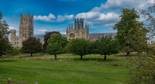 Beautiful Scene Ely Cathedral Gothic Style Surrounded Trees Green Grass — Stock Photo, Image