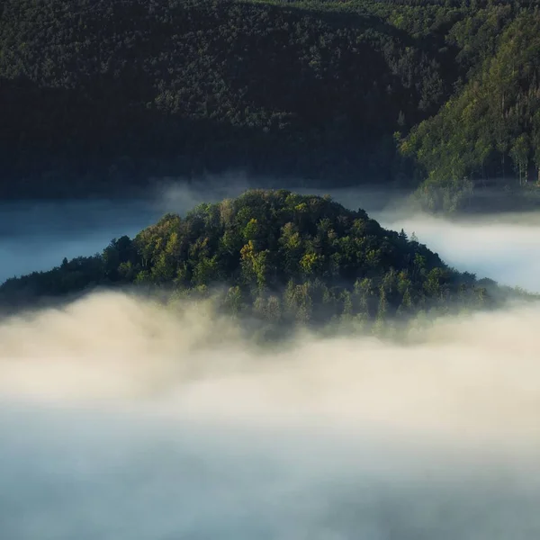 Tiro Aéreo Das Montanhas Rochosas Cobertas Árvores Céu — Fotografia de Stock