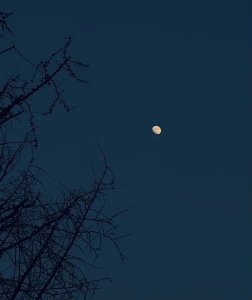 Vertical Shot Shiny Moon Nighttime Blue Sky — Stock Photo, Image