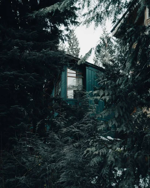 森林中一座绿色现代房屋的垂直镜头 — 图库照片