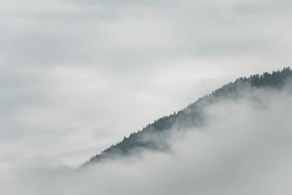 Encosta Com Árvores Escondidas Nas Nuvens — Fotografia de Stock