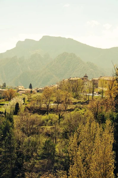 Plan Vertical Arbres Verts Dans Village Montagne Par Une Journée — Photo