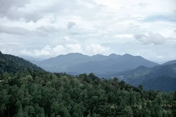 Vacker Utsikt Över Ett Bergigt Landskap Med Skog Förgrunden Molnigt — Stockfoto