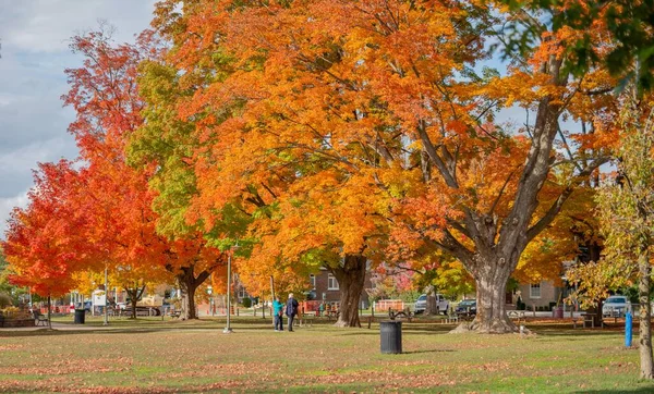 Eine Parklandschaft Mit Herbstlich Bunten Bäumen Sommer — Stockfoto